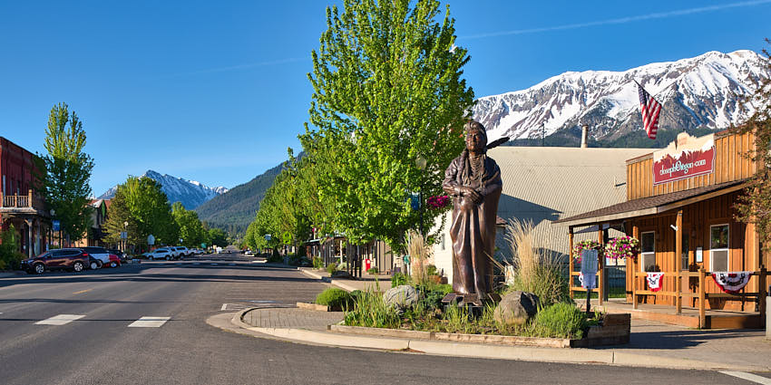 bronze deer fall joseph oregon