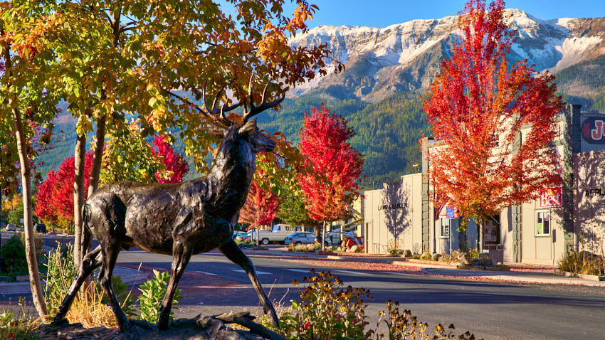 bronze deer fall joseph oregon