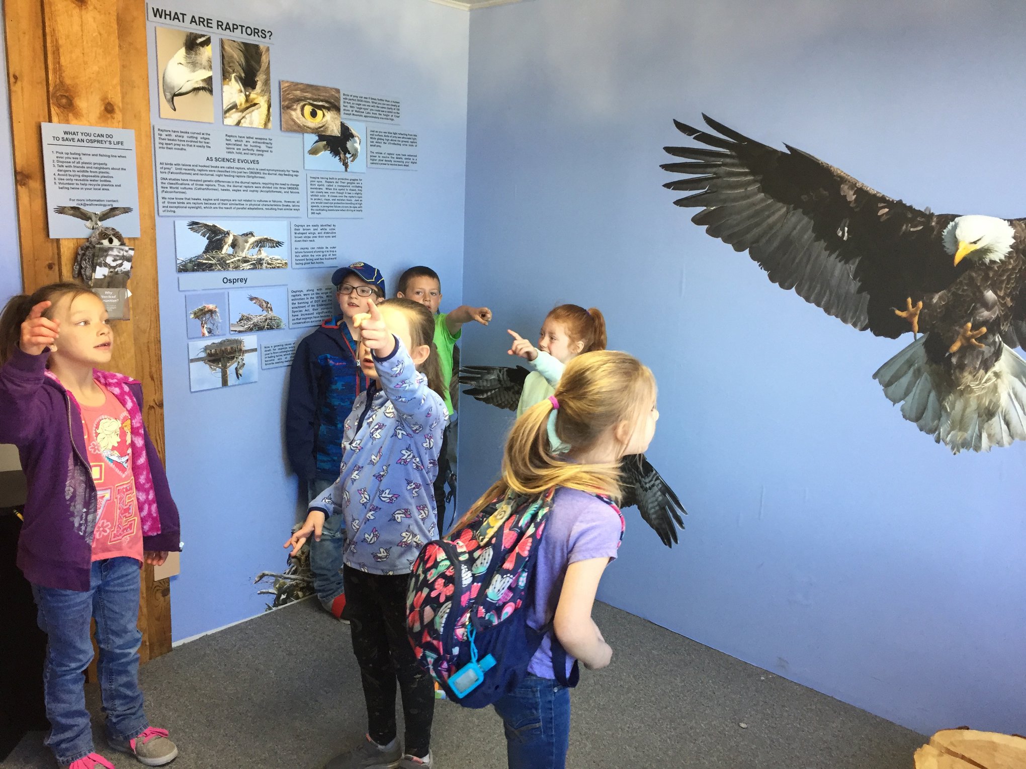 60076481 2354979521443933 5376305882059505664 n