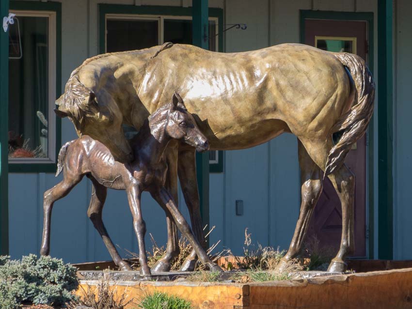 austin barton-baby steps