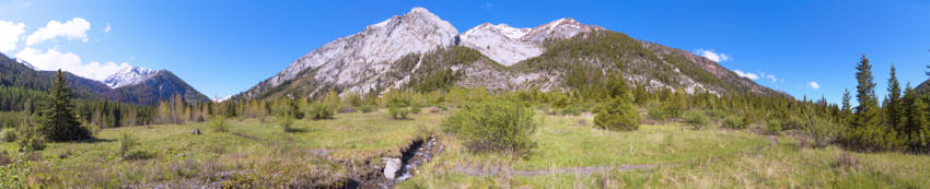 goat meadow late may 2tn