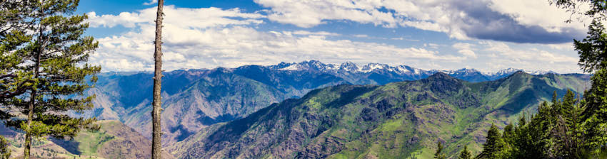 saddle creek cg panorama tn