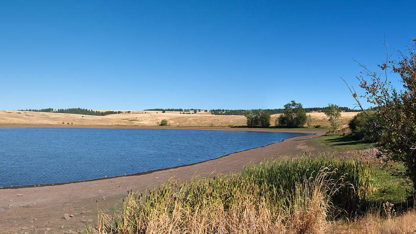 County Fishing Ponds